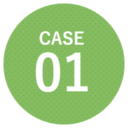 CASE01